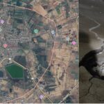 In Sindagi of Vijayapura, the earth trembled five times in a single day, causing panic among the people